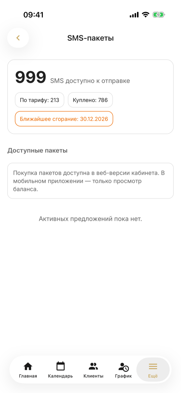 «SMS-пакеты» на телефоне: 999 SMS доступно к отправке, сколько по тарифу и сколько куплено, ближайшее сгорание и подсказка, что пакет покупают в веб-кабинете
